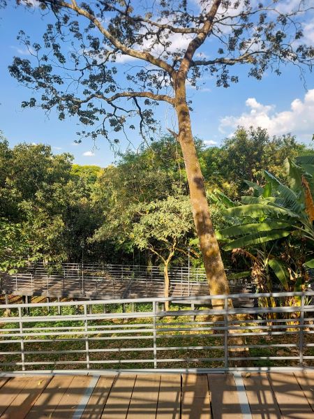 Parque Urbano Gustavo Botelho J.