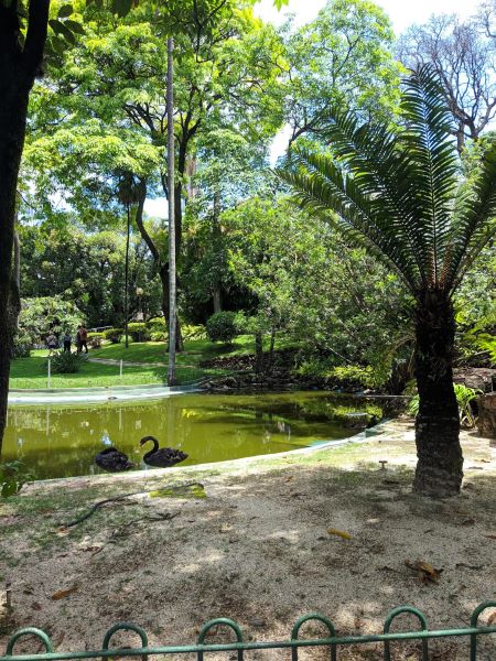 Jardim da Praça da Liberdade​