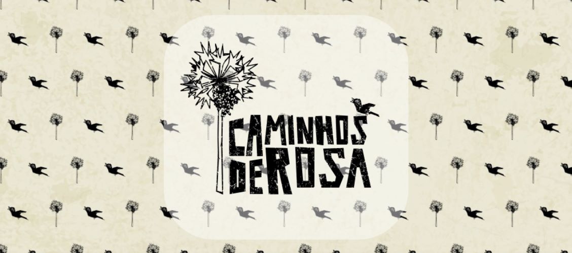 CAMINHOS DE ROSA - Desafio sobre rodas