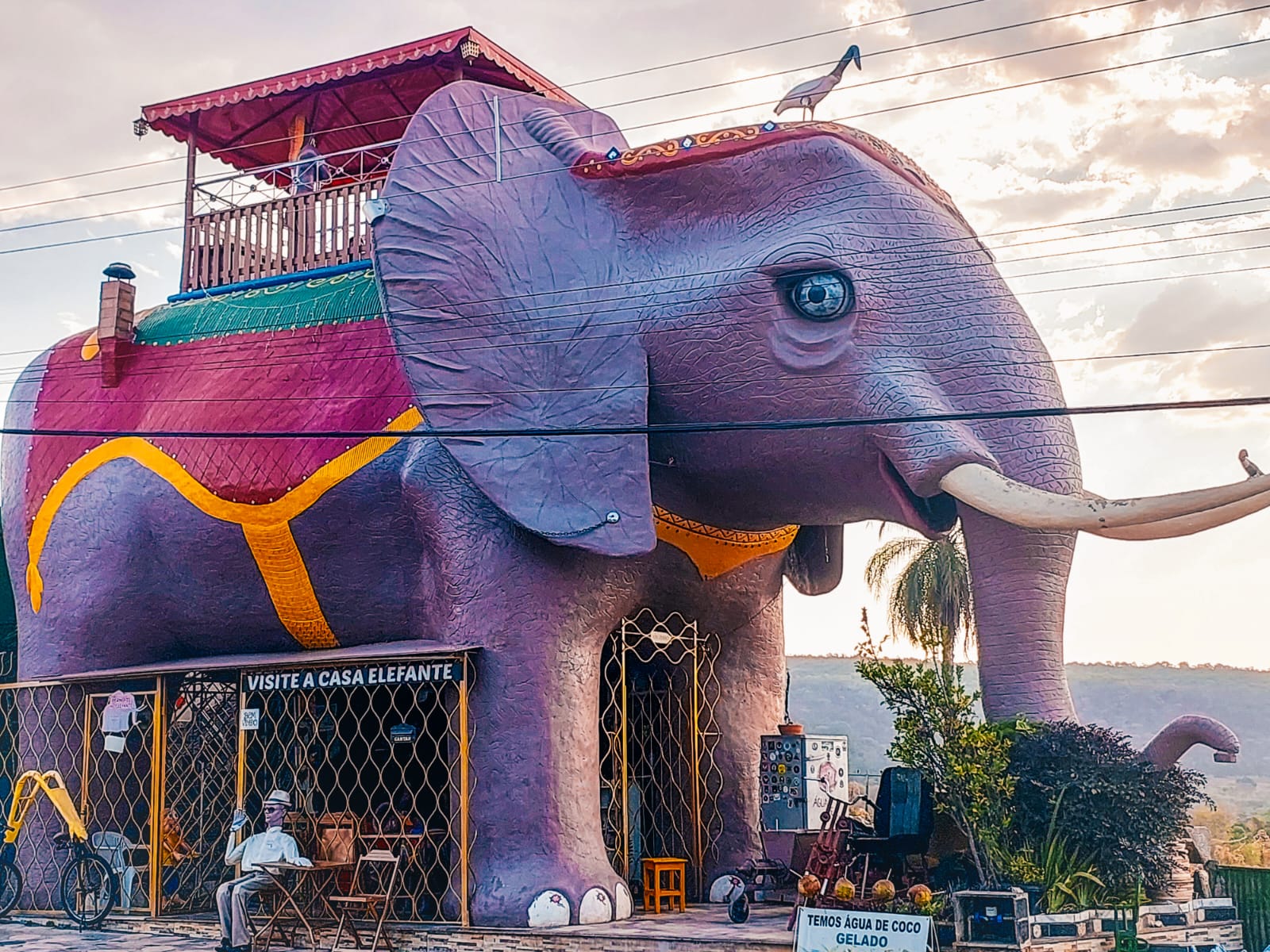 Escultura Casa Elefante